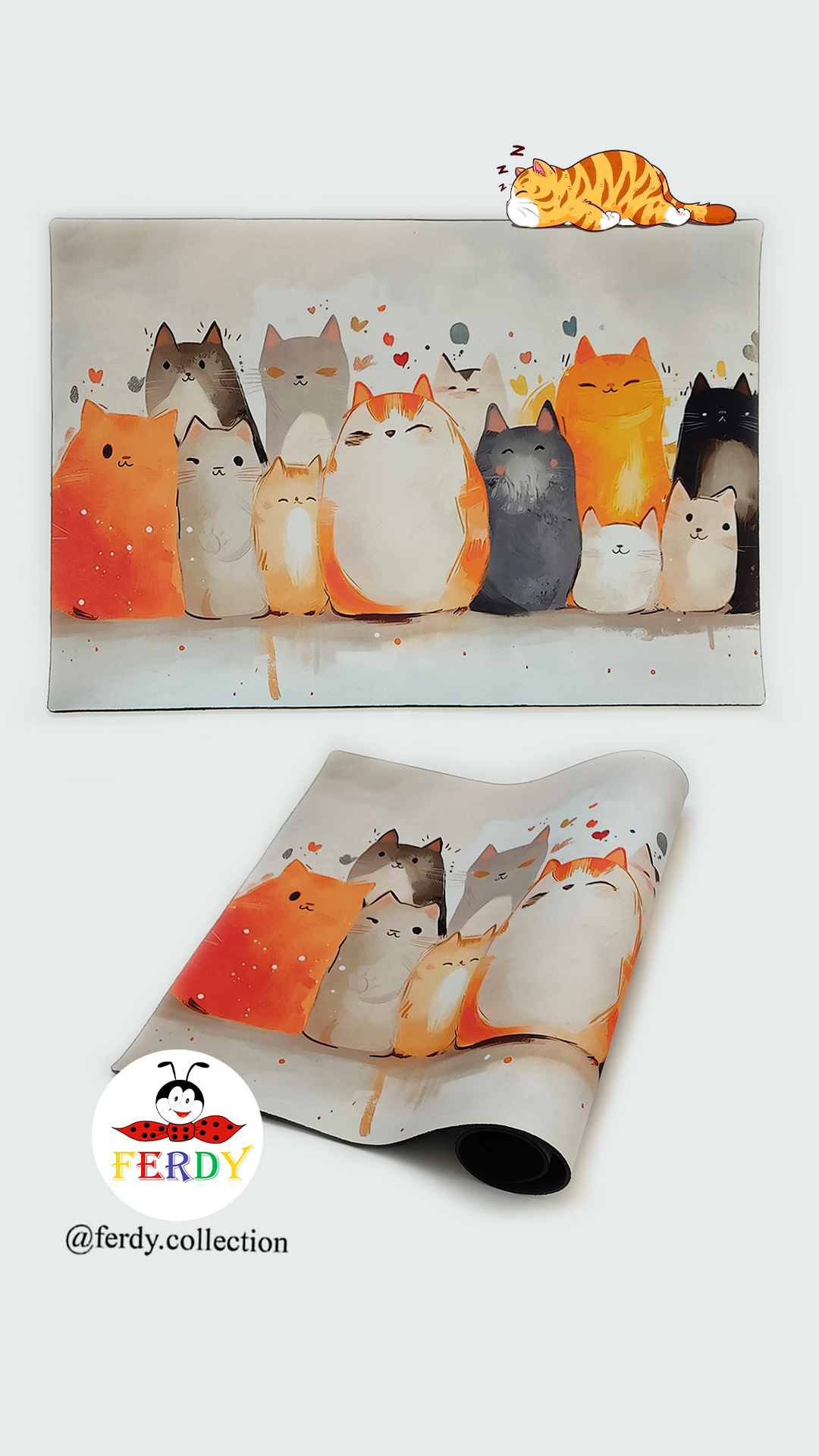 متِ غذای گربه ثابت روی تمام سطوح