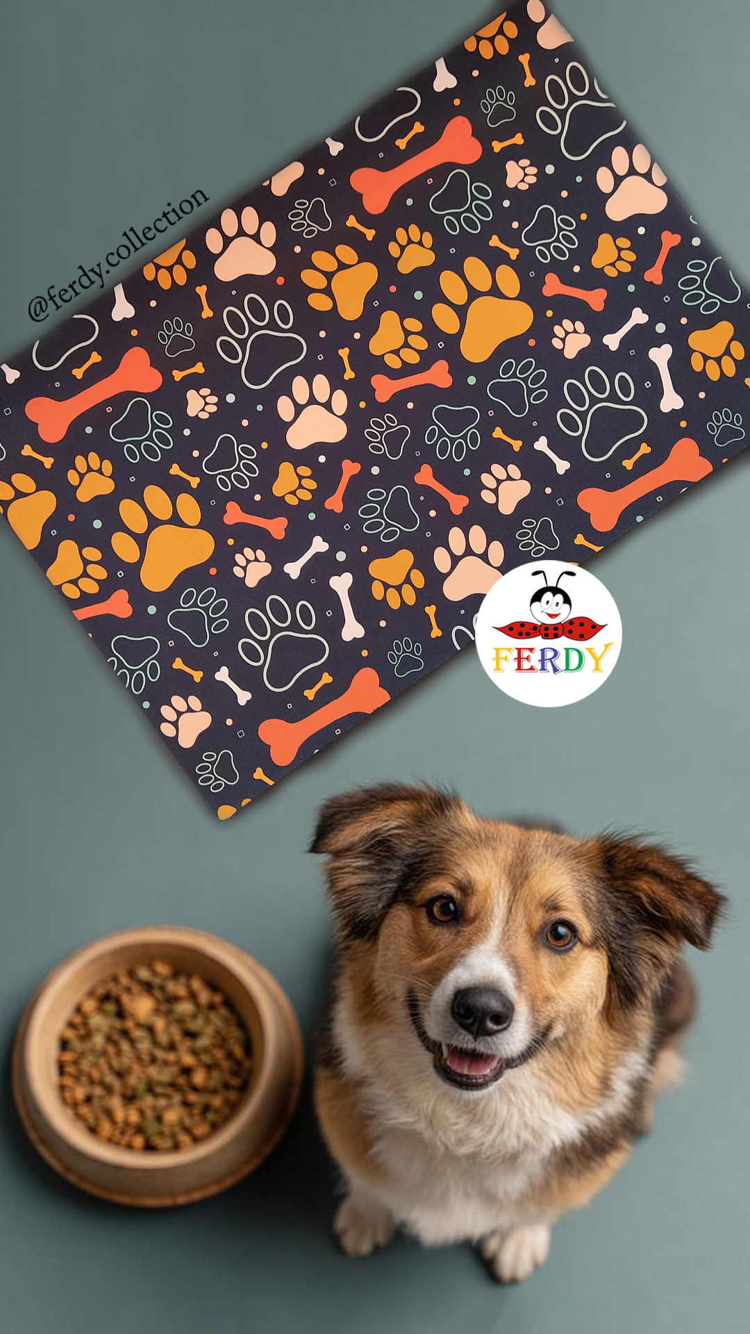 خرید متِ غذای پت طرح‌دار