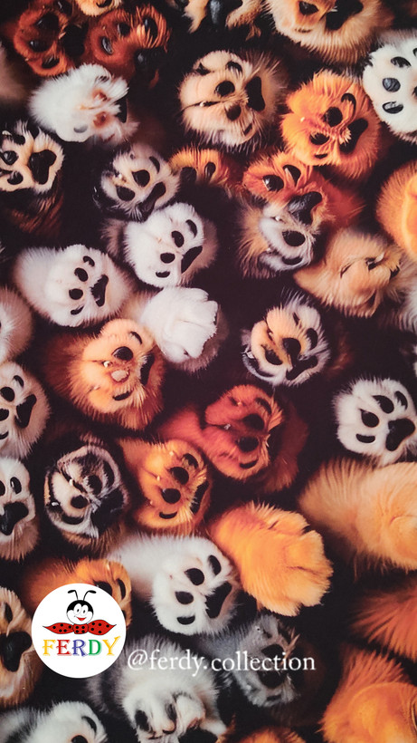 متِ غذای گربه ثابت روی تمام سطوح