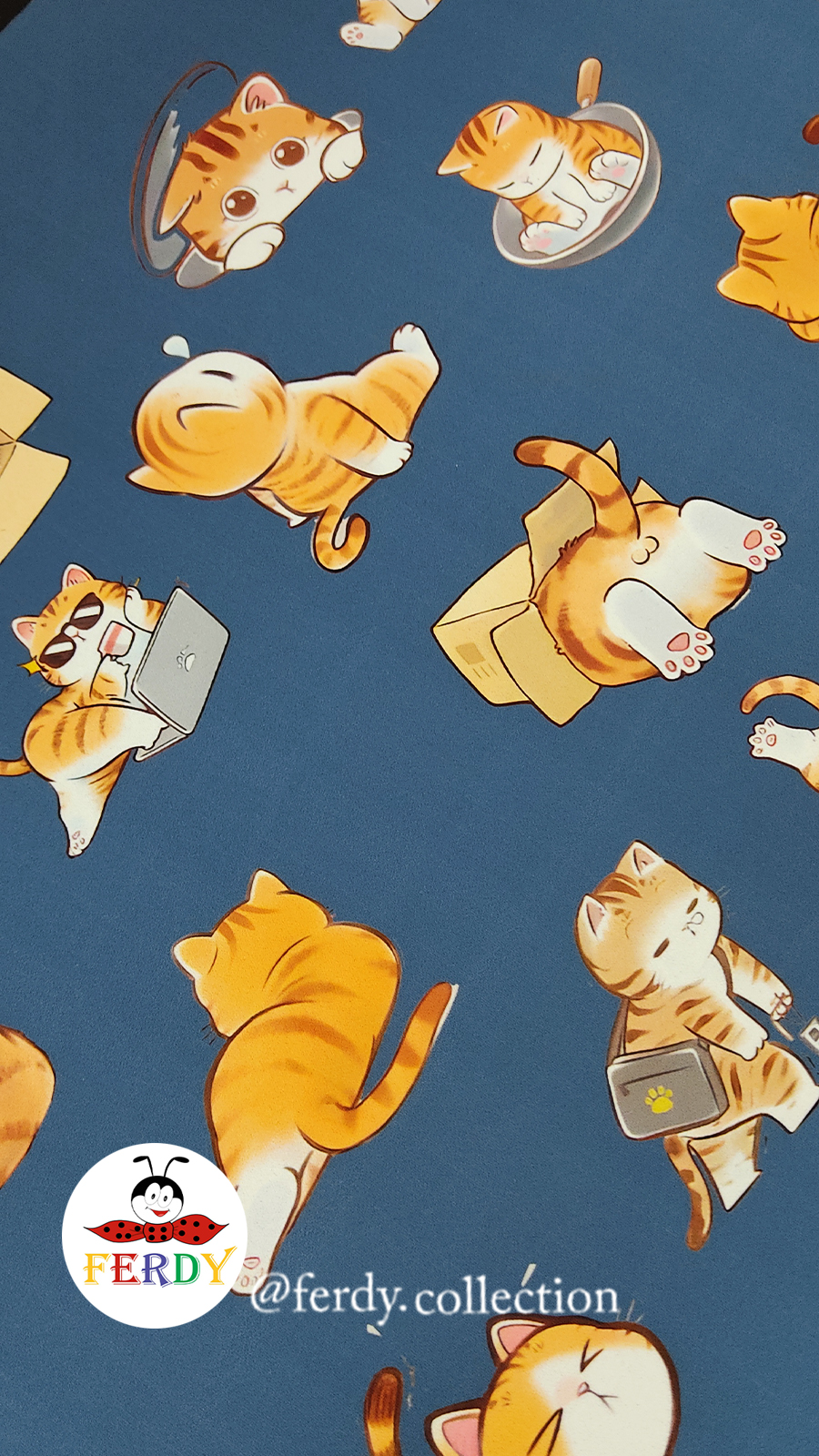 متِ غذای گربه سایز متنوع