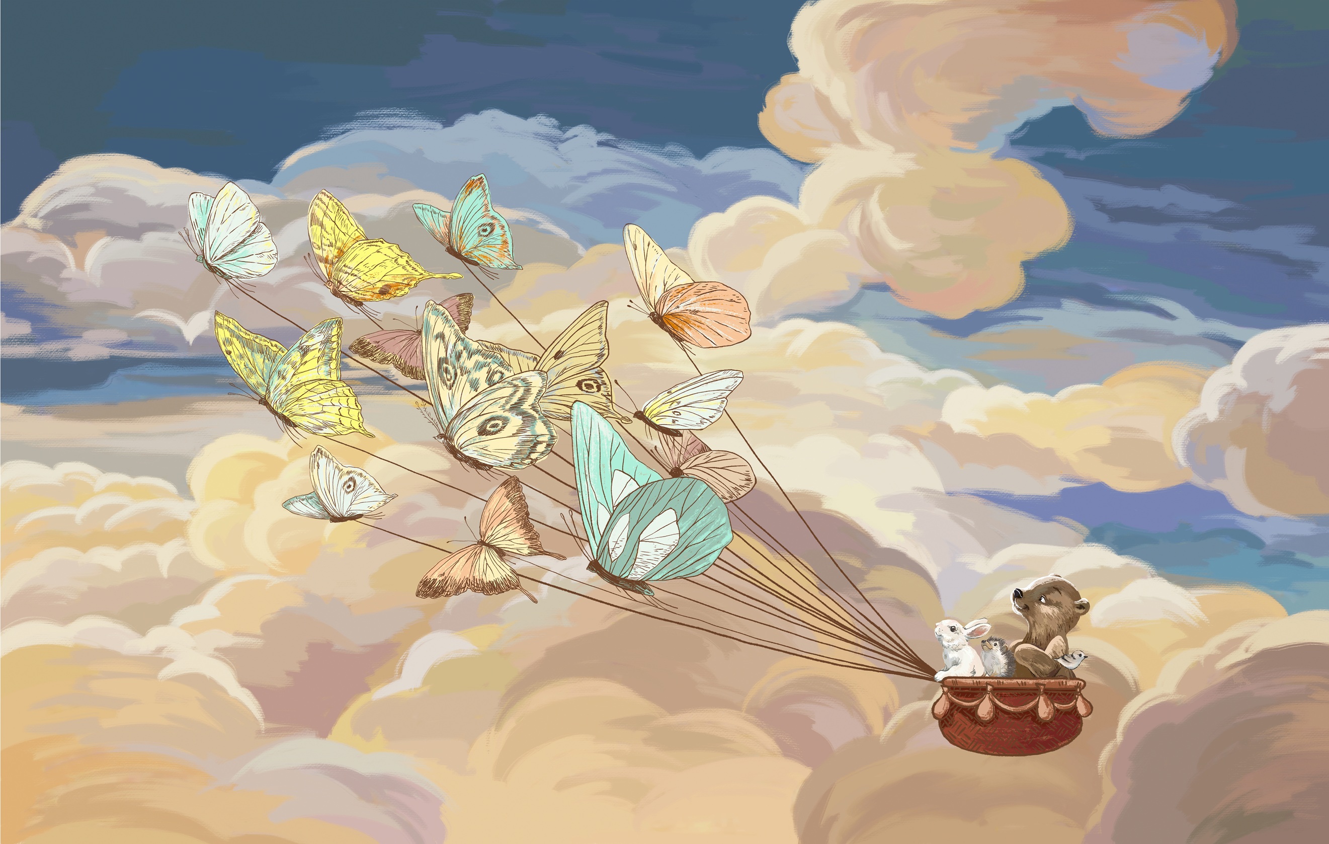 بک‌گراند عکاسی ابعاد و طرح سفارشی