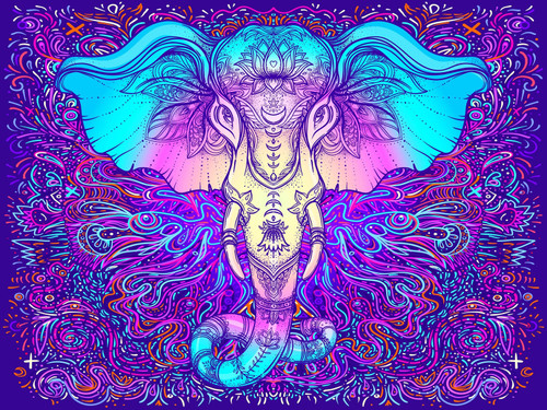 خرید بکدراپ طرح سفارشی تنوع ابعاد