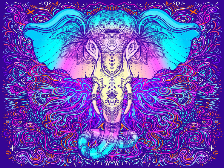 خرید بکدراپ طرح سفارشی تنوع ابعاد