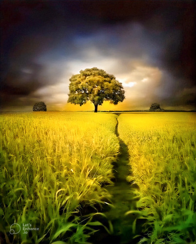 سفارش بکدراپ قابل شستشو رنگ ثابت