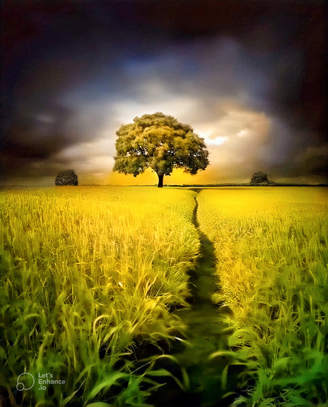 سفارش بکدراپ قابل شستشو رنگ ثابت