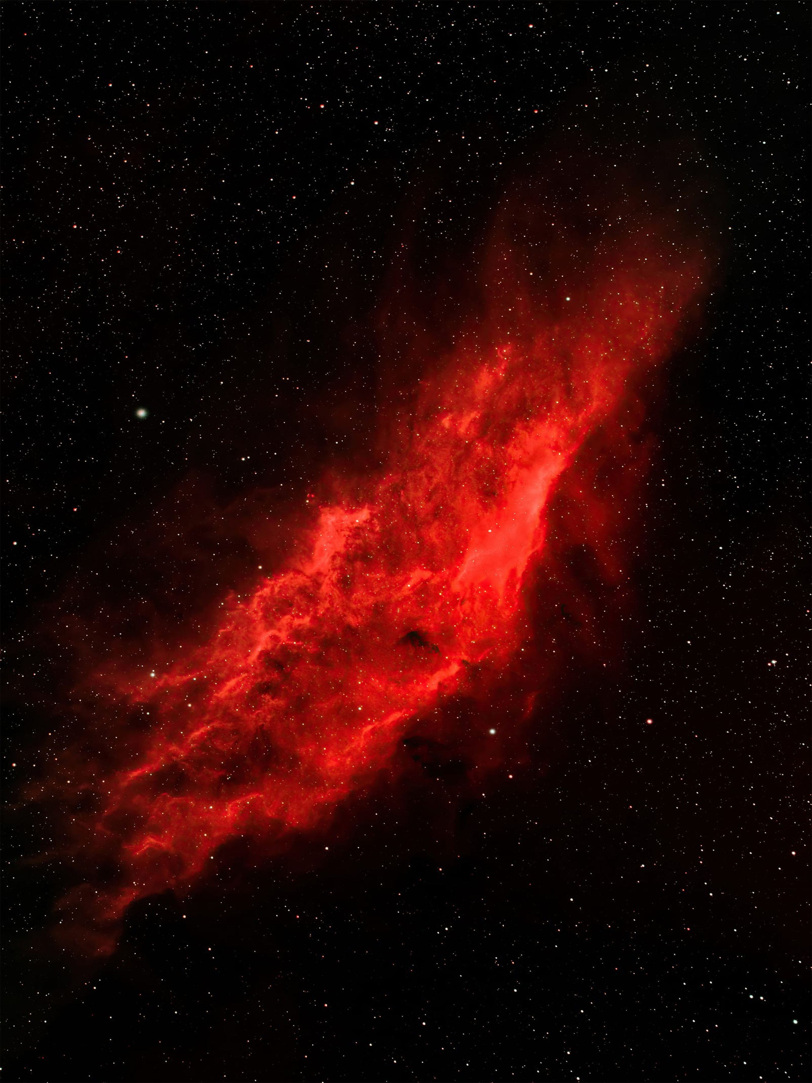 خرید تپستری قابل شستشو بدون محدودیت در ابعاد