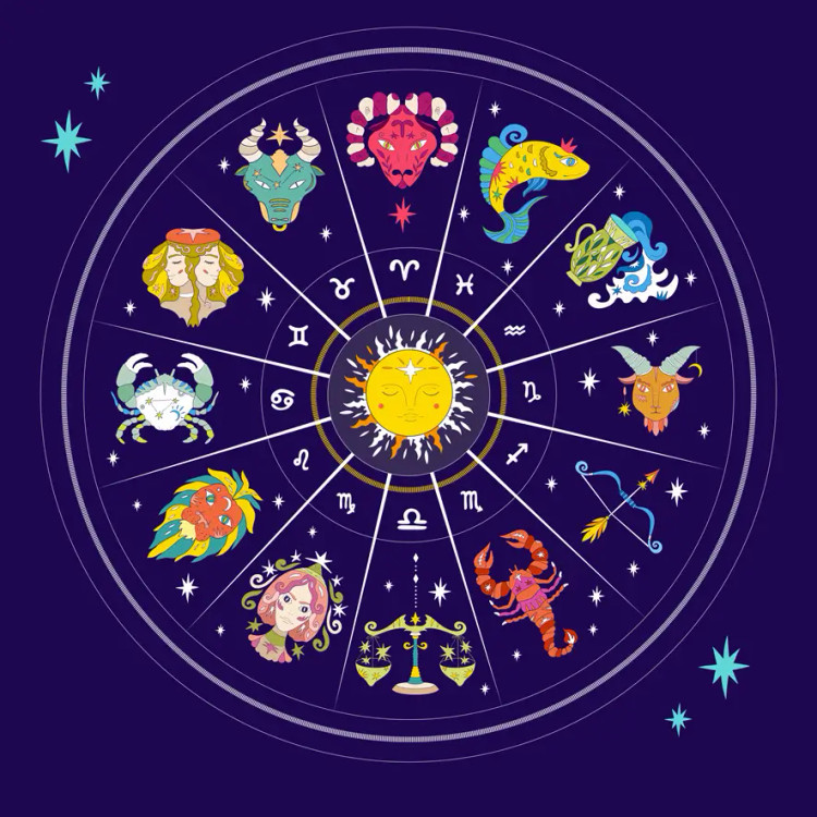 بک دراپ تنوع ابعاد ارسال سریع تنوع طرح و ابعاد