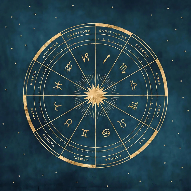 خرید بکدراپ تنوع ابعاد ارسال سریع کیفیت تضمینی