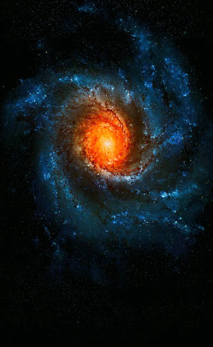 خرید تپستری قابل شستشو بدون محدودیت در ابعاد