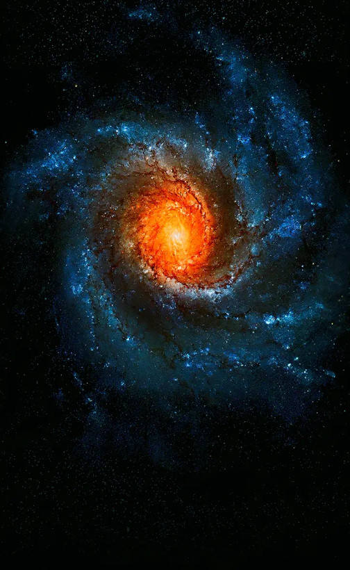 خرید تپستری قابل شستشو بدون محدودیت در ابعاد