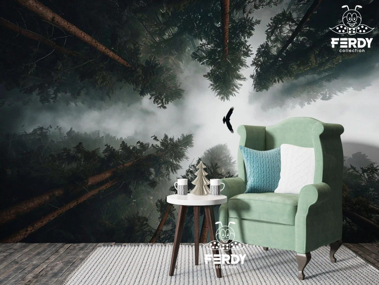 مناسب هر دکور و استودیو عکاسی