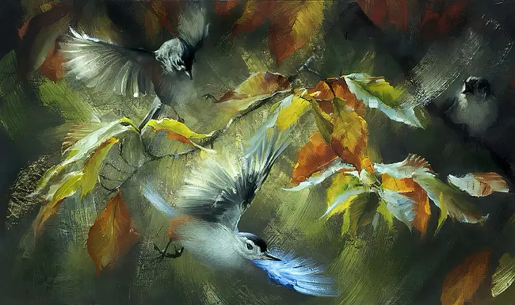 خرید بکدراپ تنوع ابعاد بدون محدودیت